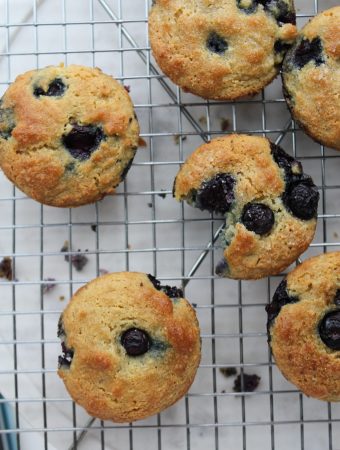 Lemon blueberry muffins- gluten free, low in sugar and high in protein! ! | mealswithmaggie.com