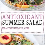 This antioxidant summer salad is filled with sweet peaches, tangy blue cheese, tart dried cherries and nutty walnuts combined with the bite of the red onion makes this salad a joy to eat. Serve this up at your next dinner party | Mealswithmaggie.com #peaches #peachsalad #summerpeachsalad #antioxidants #healthysummerdish #peachrecipes #driedcherries