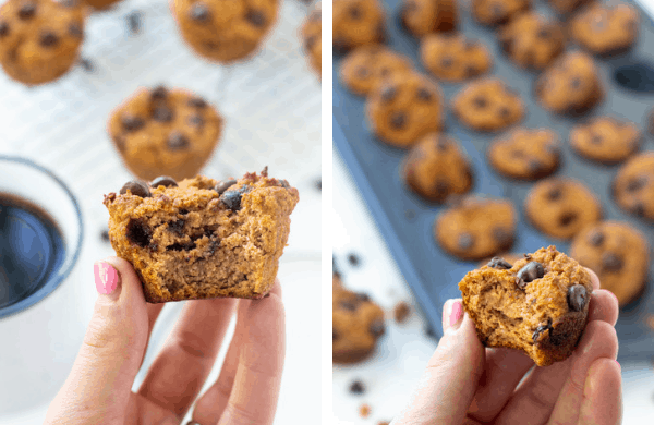 Side by side shot of pumpkin muffins