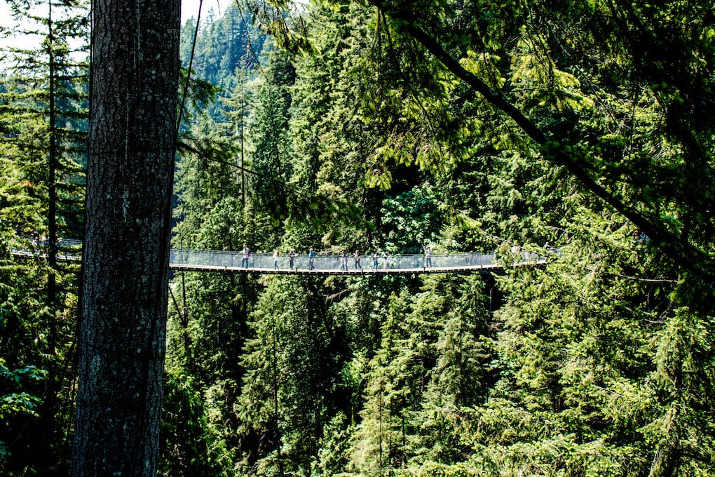 Suspension bridge in Vancouver BC