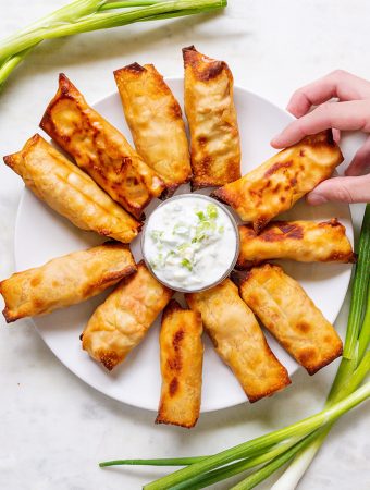 Buffalo chicken wontons with blue cheese yogurt dip and hand.