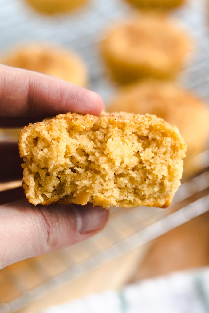 A hand holding a muffin with a bite taken out of it. 