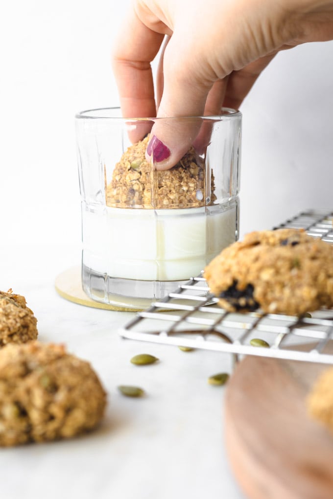 A breakfast cookie being dunked in milk.